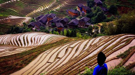 Swirls of colours and mesmerising shapes captured by photographer - PHOTO