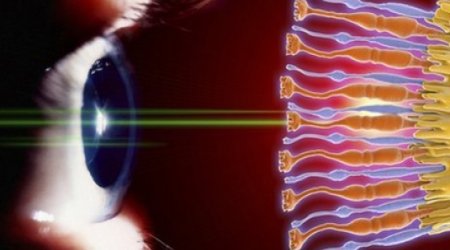 Scientists 'print' new eye cells