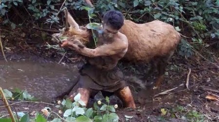 Wild animals caught barehanded - PHOTO+VIDEO