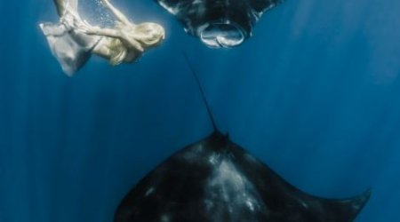 Mermaid goes tail-to-tail with giant mantra ray - PHOTO