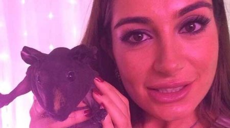 Arzu Aliyeva posts pictures with cavy - PHOTO