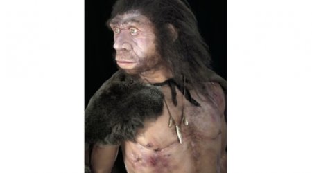 Diabetes risk gene 'from Neanderthals'