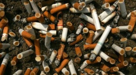 Strict parenting may reduce teen smoking