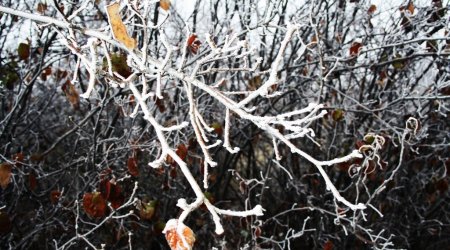 Winter in central Azerbaijan - PHOTO