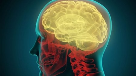 Supercomputer models one second of human brain activity