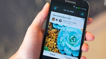 What Jelly can do for you