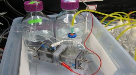 How to make petrol with bacteria - VIDEO