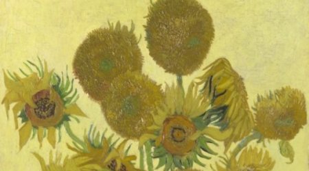 How Van Gogh's Sunflowers came into bloom