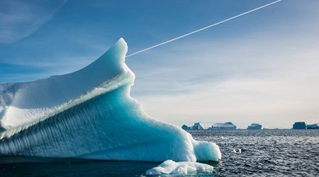 Greenland's icebergs are nature's works of art - PHOTO