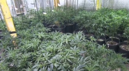 Why it's still a big deal if your teen smokes pot