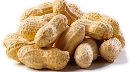 New treatment for peanut allergy declared a success