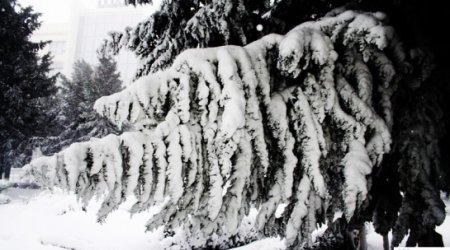 Baku weather forecast for Feb. 2