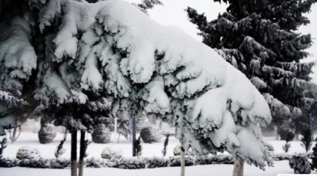 Baku weather forecast for Feb. 4