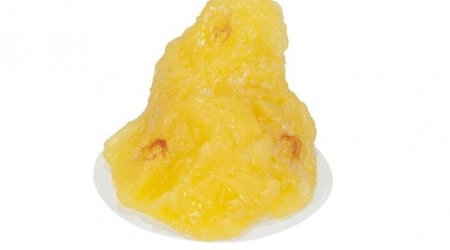 What a single pound of human fat looks like