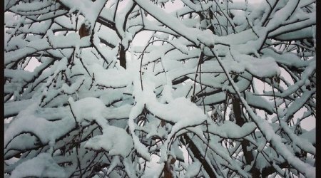 Winter views of Ganja - PHOTO