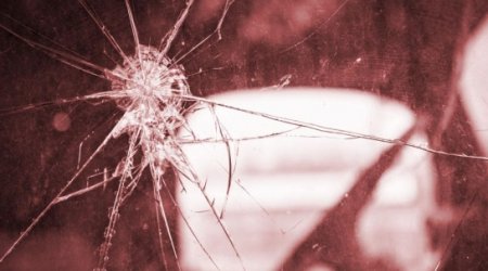 Why birds can’t avoid hitting your car windscreen