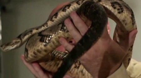 A faithful death: Why a snake handler refused treatment