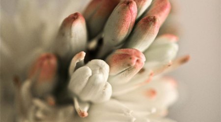 National Geographic's search for photos that will melt your heart - PHOTO