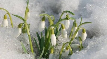 Baku weather forecast for Feb. 21