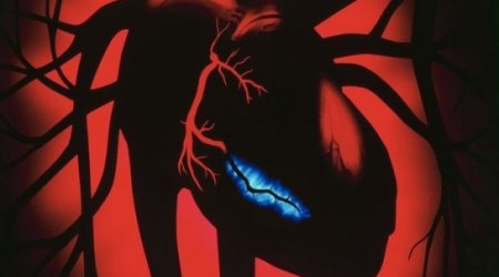 Can stem cells heal broken hearts?