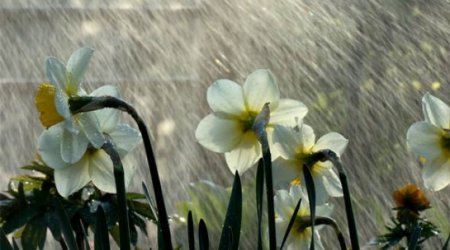 Baku weather forecast for Feb. 26