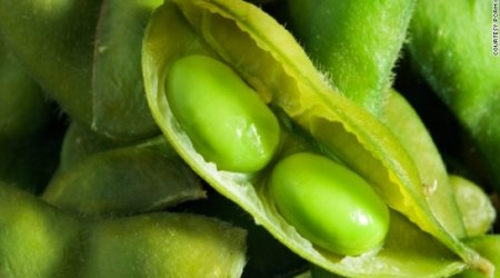 Vegetarian diet may lower your blood pressure