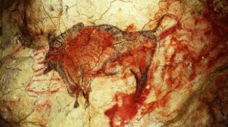 Altamira cave paintings to be opened to the public once again - PHOTO