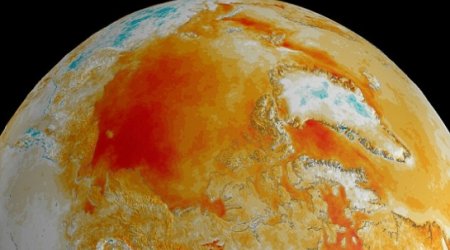 Humans are NOT to blame for global warming