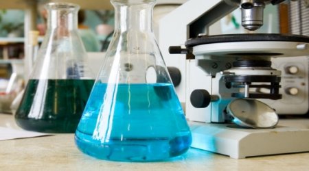 Ears and noses to be grown in lab from stem cells