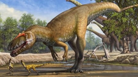 Ferocious dino was European giant
