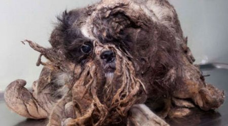 I’ve Never Seen A More Shocking Transformation - PHOTO