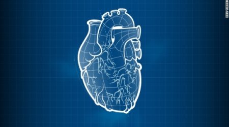 Lungs on a chip, 3-D printed hearts