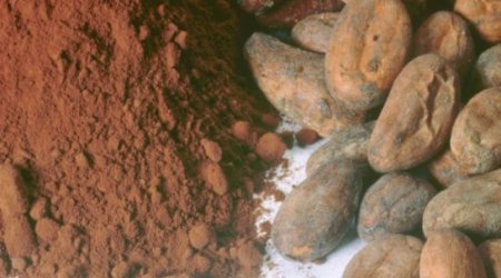 Could a CHOCOLATE pill prevent heart attacks and strokes?