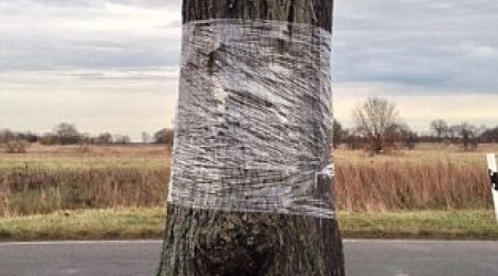 Stunning optical illusion - PHOTO+VIDEO