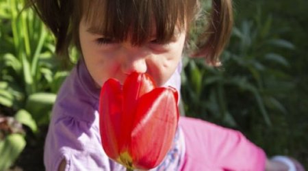Nose can detect one trillion odours