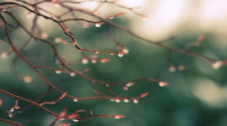 Baku weather forecast for March 29