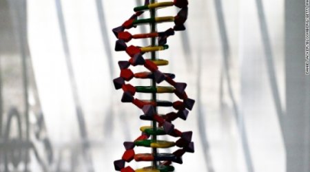 Scientists make new chromosome