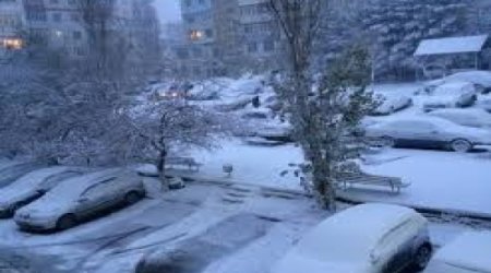 Azerbaijan may be left without fruits and berry crop this year