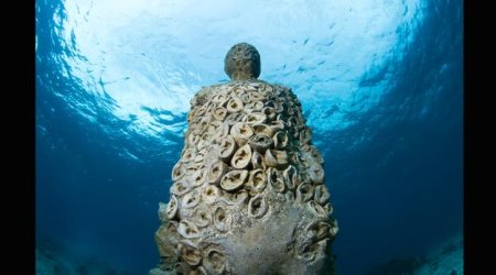 A museum on the ocean floor - PHOTO