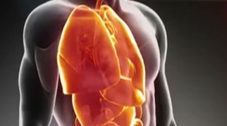 The next frontier in 3-D printing: Human organs - VIDEO