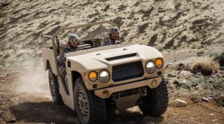 Phantom Badger, reporting for duty - PHOTO+VIDEO