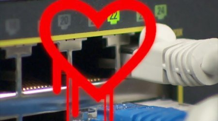 Extreme password protection...how hackers keep themselves safe