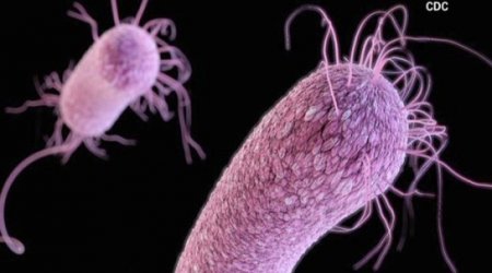 The antibiotics that could kill you