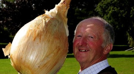 World's largest cauliflower - PHOTO