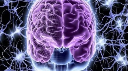 Mass memory and reasoning tests 'track dementia risk'