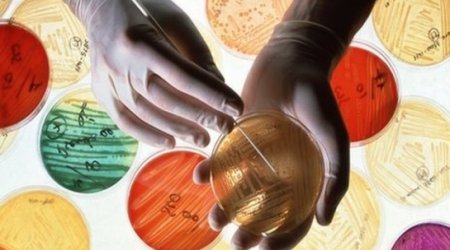 Antibiotic resistance now 'global threat', WHO warns