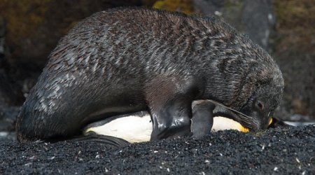 So THAT’s what they would look like - PHOTO+VIDEO