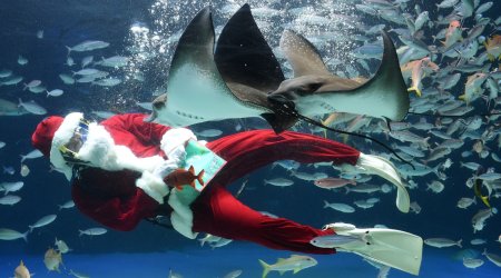 Pictures of the day: Photos from thursday 27th November 2014 - PHOTO