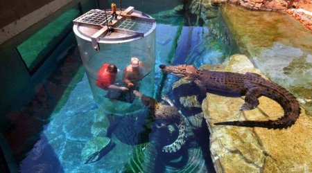 Ən təhlükəli attraksion - FOTOLAR