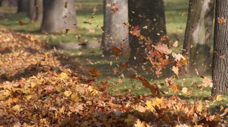 Baku weather forecast for Dec. 6